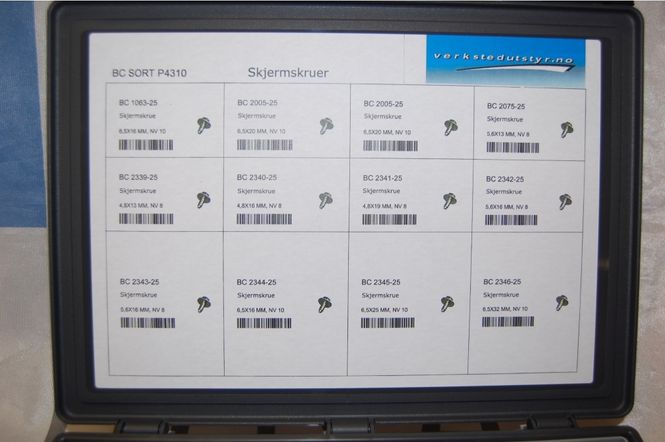 Hovedbilde SORTIMENT MED SKJERMSKRUER 300stk P4310
