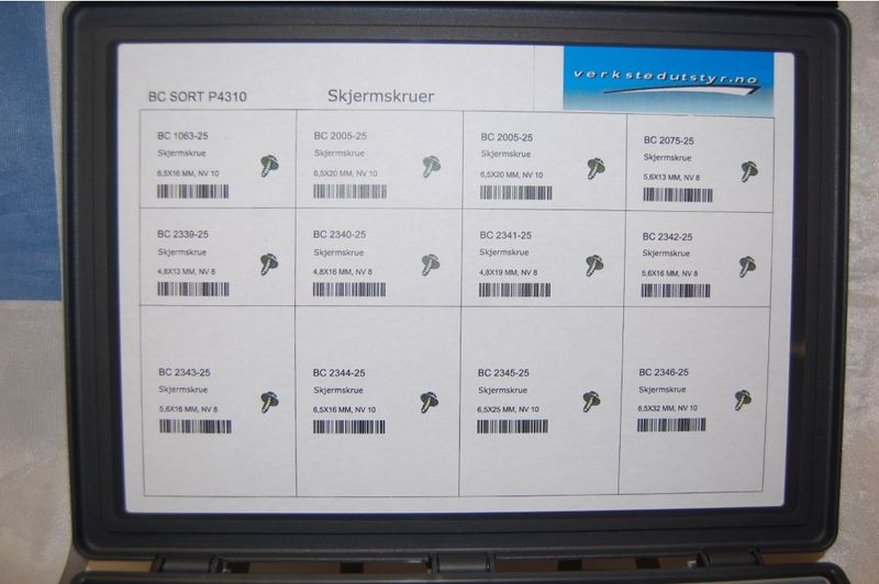 SORTIMENT MED SKJERMSKRUER 300stk P4310
